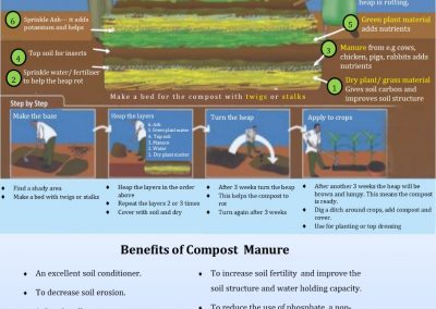 Making Compost Manure